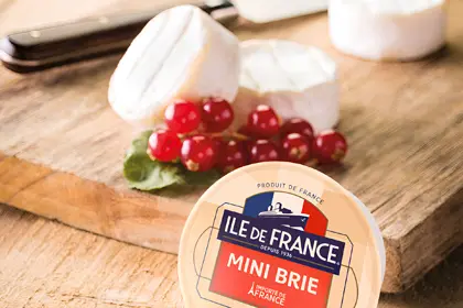 Сыр Бри Мини «Ile de France», 5 шт. х 25г